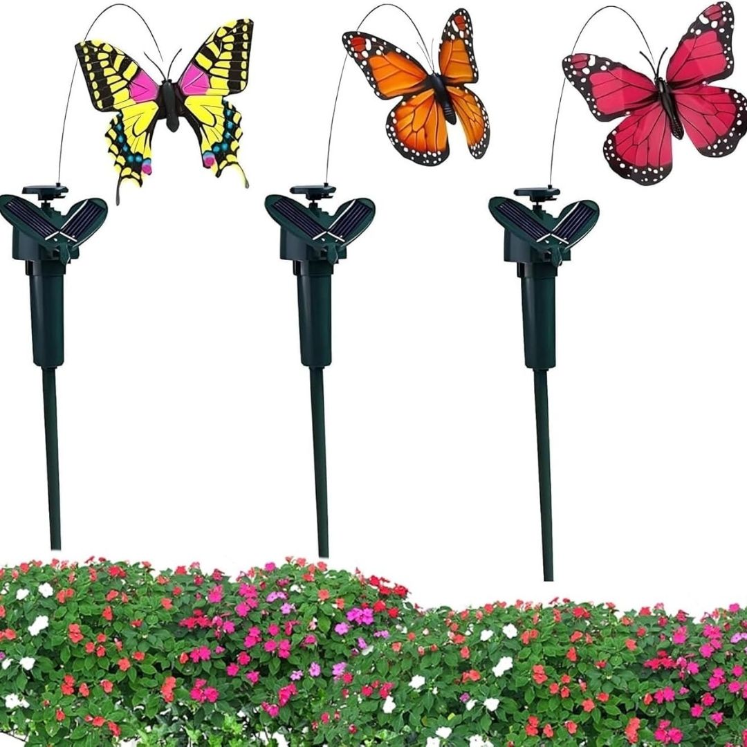 Solarni Električni Kolibrić