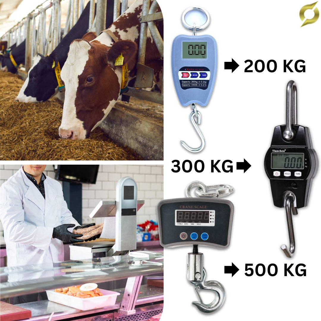 Vaga digitalna 500KG/300KG/200KG